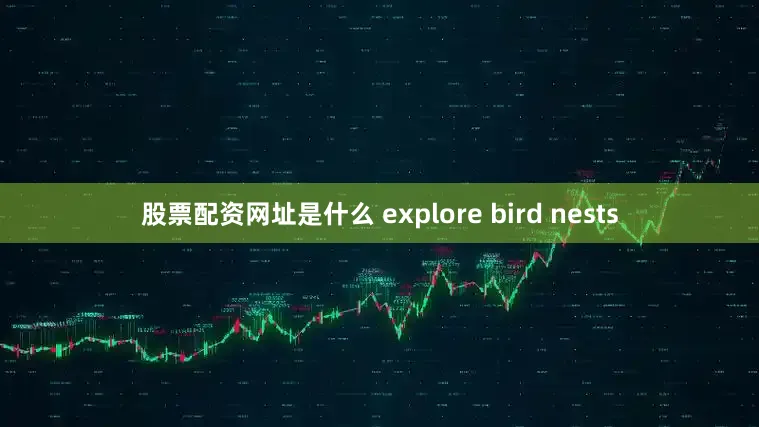 股票配资网址是什么 explore bird nests