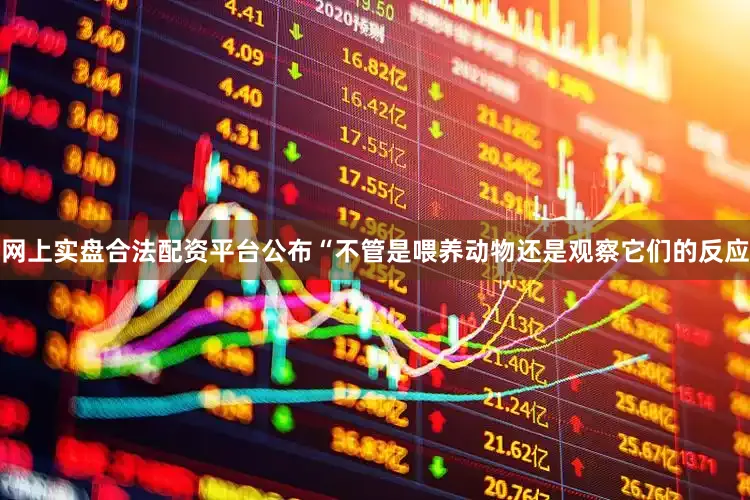 网上实盘合法配资平台公布“不管是喂养动物还是观察它们的反应