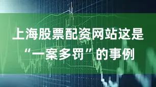 上海股票配资网站这是“一案多罚”的事例