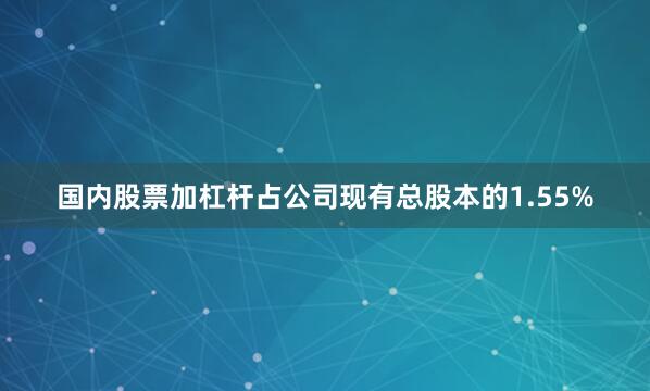 国内股票加杠杆占公司现有总股本的1.55%
