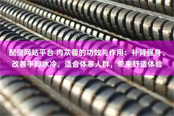 配资网站平台 肉苁蓉的功效与作用：补肾强身、改善手脚冰冷，适合体寒人群，带来舒适体验