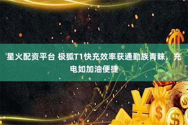 星火配资平台 极狐T1快充效率获通勤族青睐，充电如加油便捷