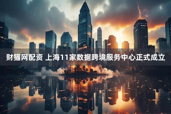 财猫网配资 上海11家数据跨境服务中心正式成立